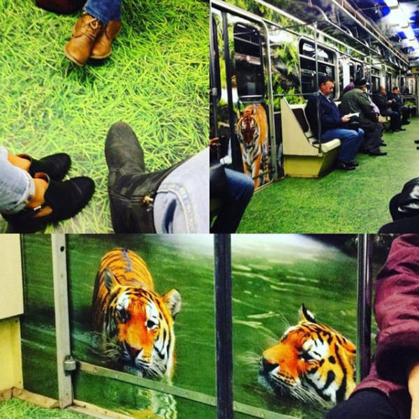 Günün en çılgın fotoğrafları - Resim: 2