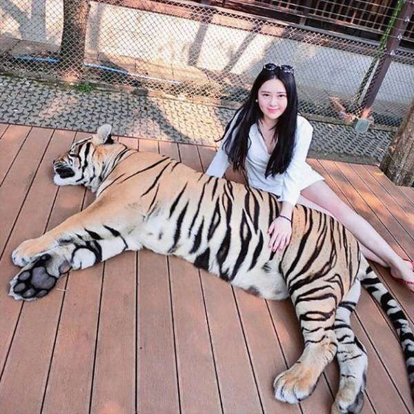 Çin'in zengin çocukları! - Resim: 2