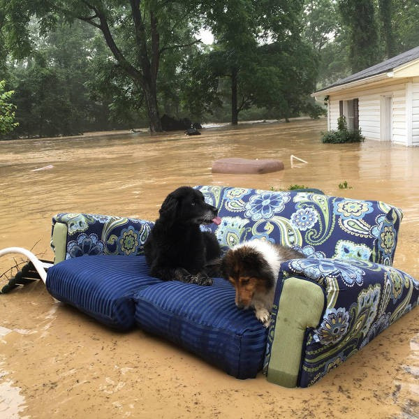 Günün en çok paylaşılan fotoğrafları - Resim: 4