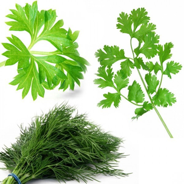 Maydanoz ve dereotu birlikte yenilirse - Resim: 1