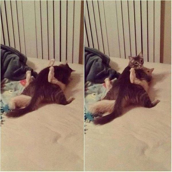 Haftanın en sevilen fotoğrafları - Resim: 1