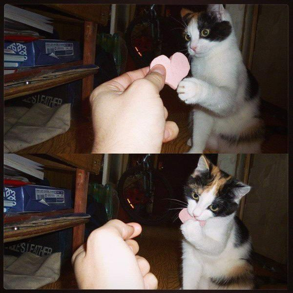 Haftanın en beğenilen fotoğrafları - Resim: 3