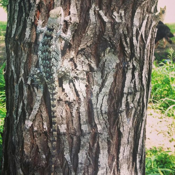 Günün en çılgın 50 fotoğrafı - Resim: 3