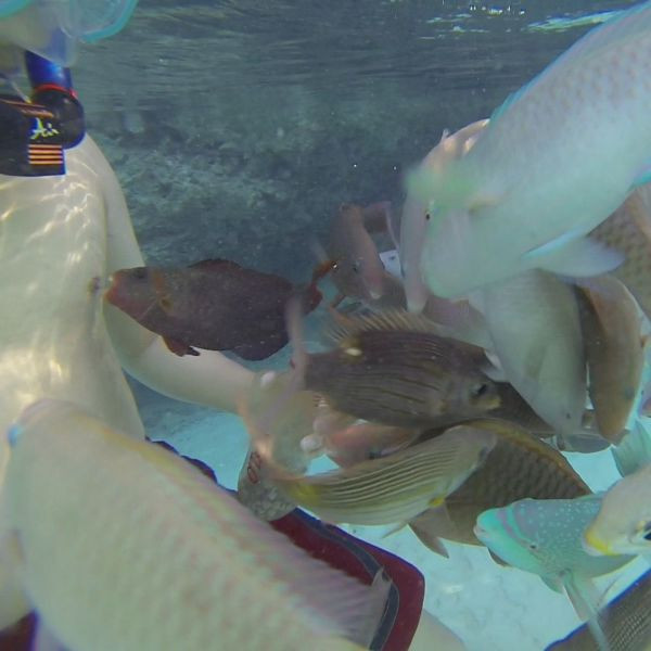 Günün en renkli 50 fotoğrafı  - Resim: 3