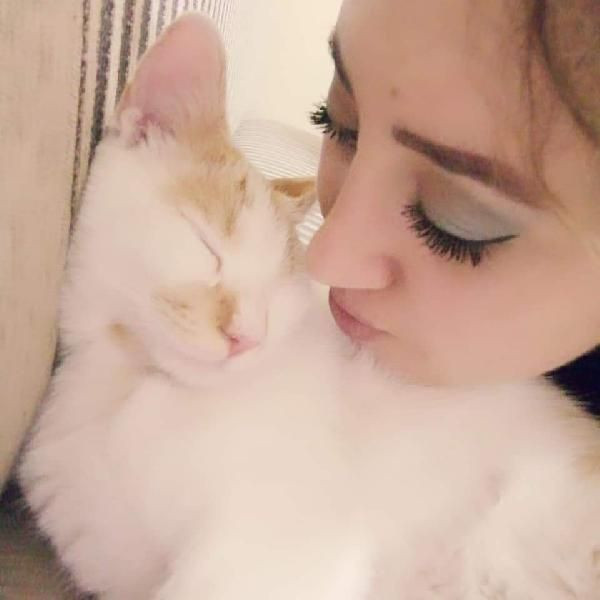 Kediye işkence! Kanıyla çeşme mermerine yazı yazmışlar - Resim: 3