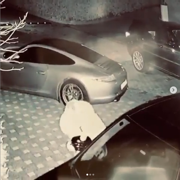 Ece Erken'in sevgilisi Şafak Mahmutyazıcıoğlu açıklama yaptı Ece Erken istifa etti - Resim: 1