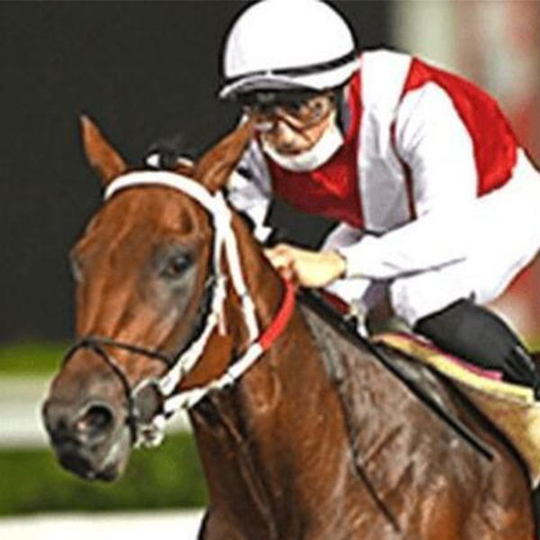 "Vitaminler helal olsun kızım" Işın Karaca'nın "Mucize Kız'ı" Gazi koşusunda ikinci oldu - Resim: 3