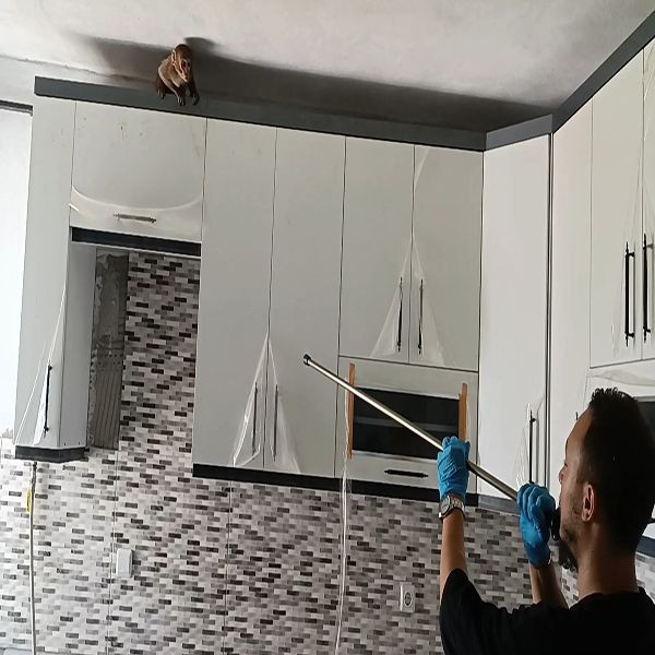 Bursa'da maymun operasyonu! Mutfağa giren maymun mahalleyi ayağa kaldırdı - Resim: 1