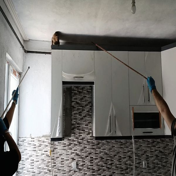 Bursa'da maymun operasyonu! Mutfağa giren maymun mahalleyi ayağa kaldırdı - Resim: 3