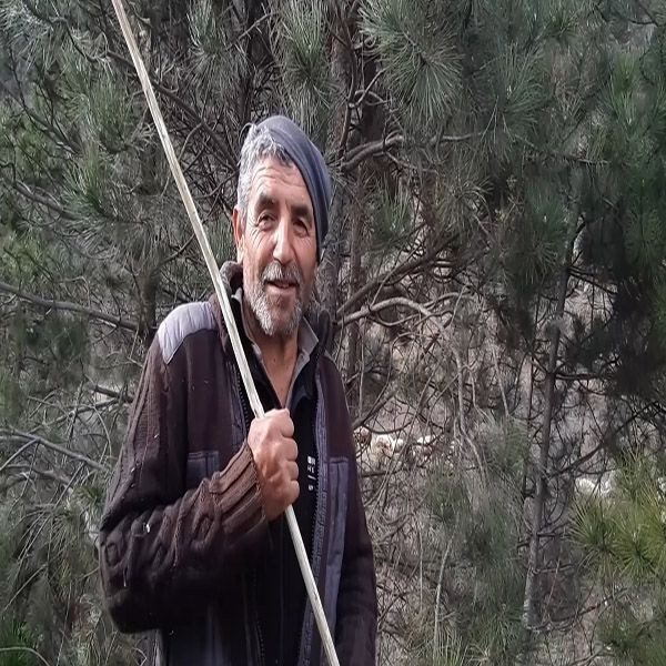 Bolu'da ki gizemli kazıdan yeni gelişme! Bakın kazının nedeni neymiş - Resim: 1