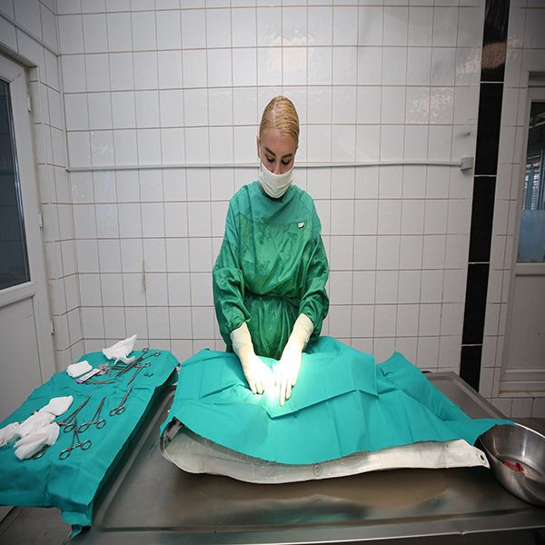 Bursa'da çareyi sokak hayvanlarını kısırlaştırmada buldu! "İlk önce halkın sağlığı" - Resim: 1