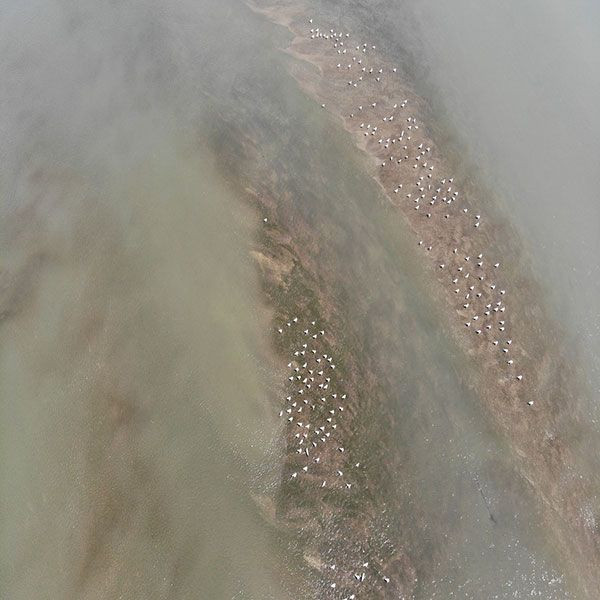 Meriç Nehrinden korkutan görüntüler! Kuraklık şiddeti kasıp kavurdu - Resim: 3