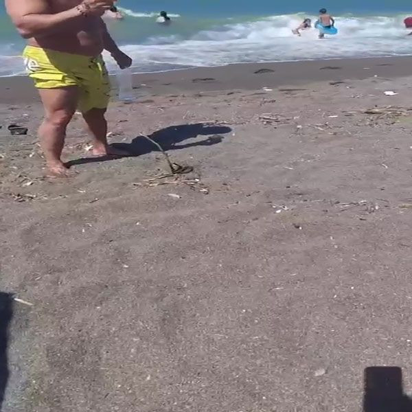 Denizde yılan paniği! Yüzerken bacağına dolandı... - Resim: 2