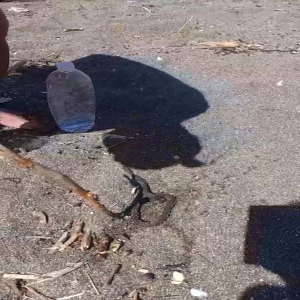 Denizde yılan paniği! Yüzerken bacağına dolandı... - Resim: 3