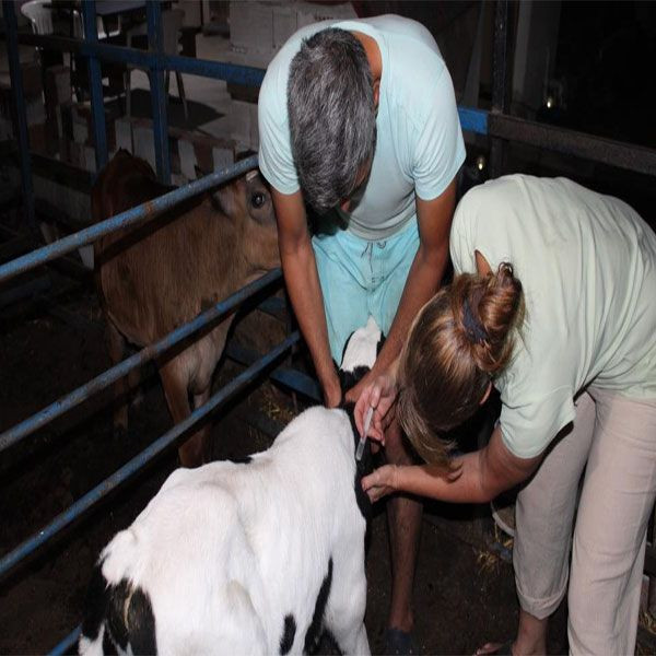 İngiliz kadından film gibi aşk! Kariyerini bırakıp aşkı için Aydın'a taşındı - Resim: 1