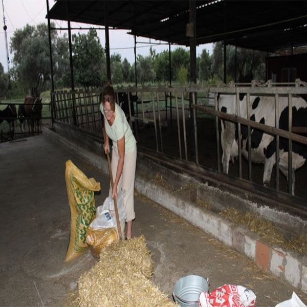 İngiliz kadından film gibi aşk! Kariyerini bırakıp aşkı için Aydın'a taşındı - Resim: 3