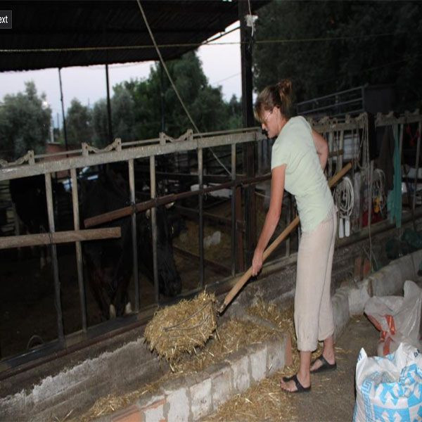 İngiliz kadından film gibi aşk! Kariyerini bırakıp aşkı için Aydın'a taşındı - Resim: 4