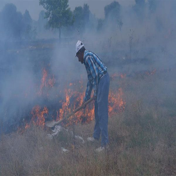 Yaktıkları çekyatlar felakete sebep oldu! Büyüyen yangına itfaiye ekipleri koştu - Resim: 2
