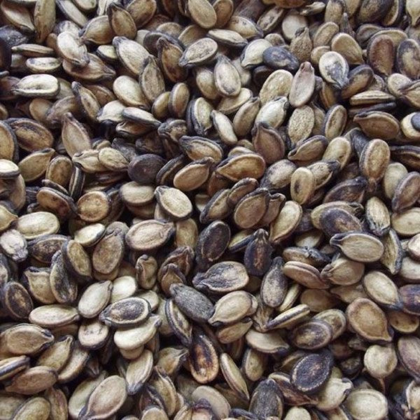 Yaz aylarında zayıflamanın en kolay yolu! Karpuz ve kavun çekirdekleriyle yapacağınız bu diyetle zayıflayın - Resim: 4