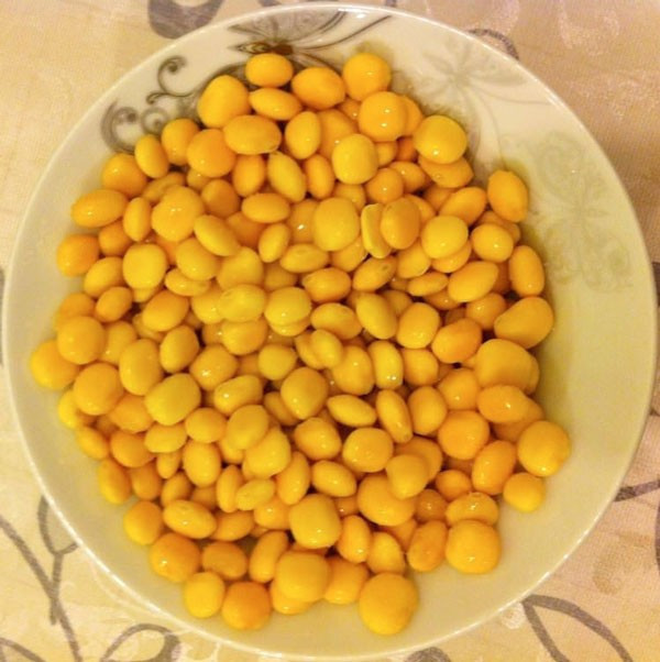 Termiye'nin faydaları saymakla bitmiyor! - Resim: 2