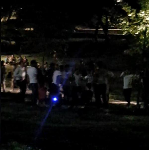 Maçka Parkı'nda koronavirüse aldırmadan müzik eşliğinde halay çektiler - Resim: 1