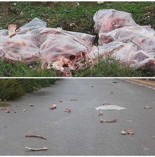 Antalya'da sokakta yürüyüş yaparken kanlar içinde kaldı - Resim: 0