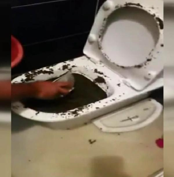 Klozetten çıktı görenler şaşkına döndü - Resim: 1