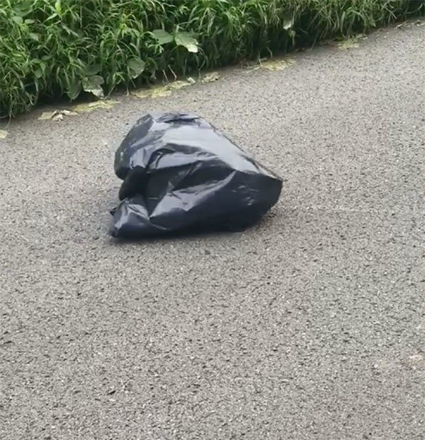 Karşısına çıkan poşetin hareket ettiğini gördü içini açınca şoke olacaksınız - Resim: 3