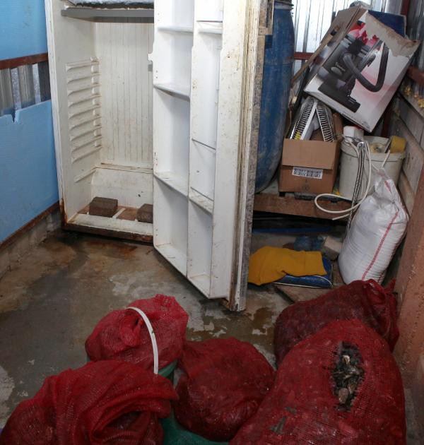 Mide bulandıran görüntü! Yerken bir daha düşünün... - Resim: 3