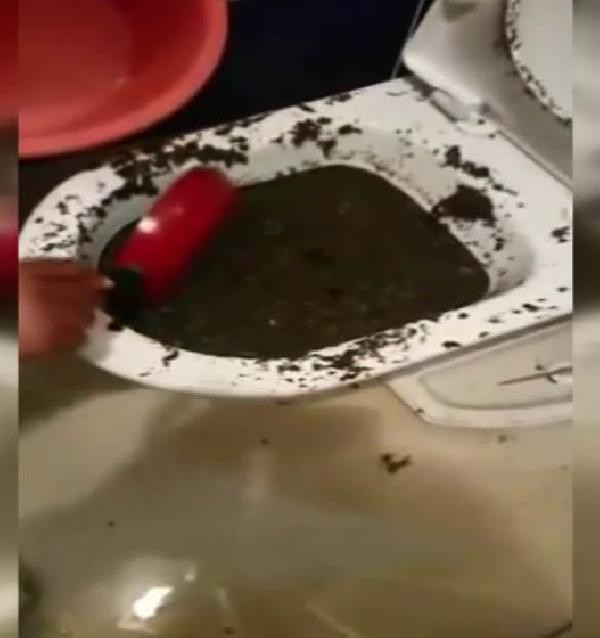 Klozetten çıktı görenler şaşkına döndü - Resim: 3
