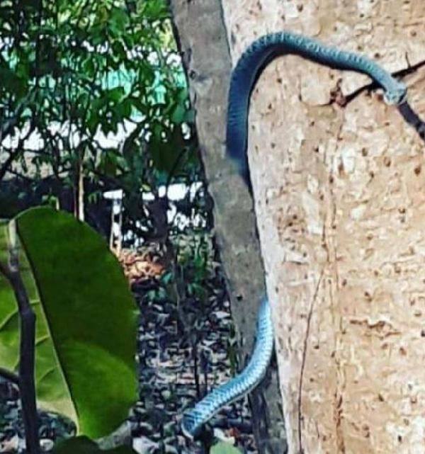 İngiliz gönüllü, koronavirüs nedeniyle Myanmar’daki adada 2 aydır mahsur - Resim: 3