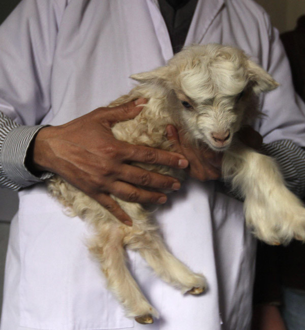 Dünya bugün bunları tıkladı  - Resim: 1