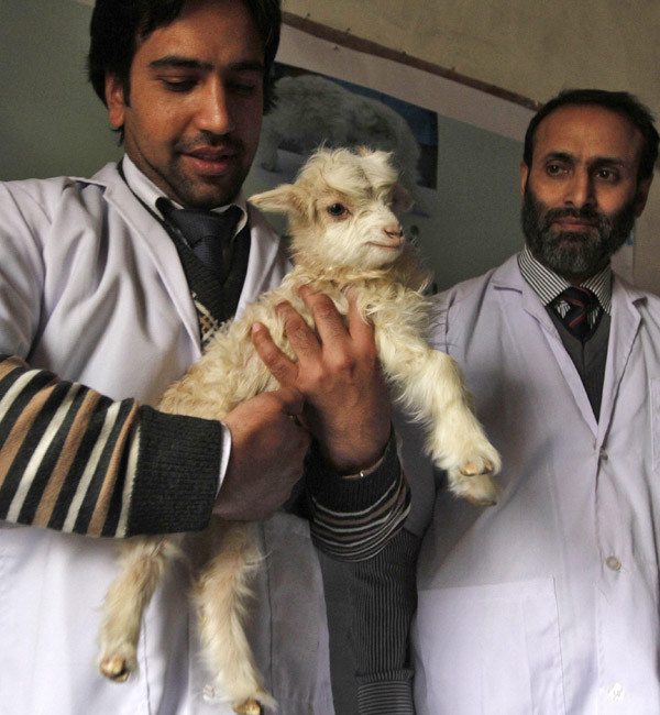 Dünya bugün bunları tıkladı  - Resim: 2