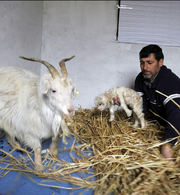 Dünya bugün bunları tıkladı  - Resim: 3
