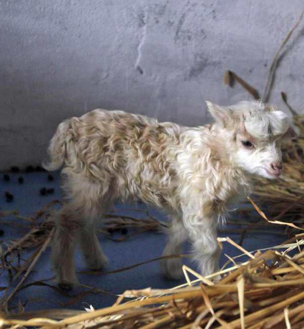 Dünya bugün bunları tıkladı  - Resim: 4