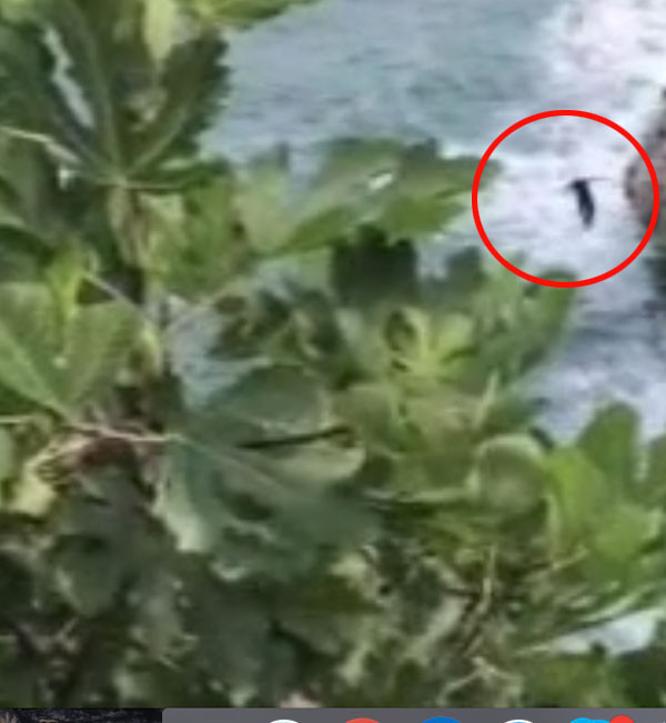 ‘Oğluma iyi bakın’ deyip 35 metreden böyle ölüme atladı  - Resim: 4