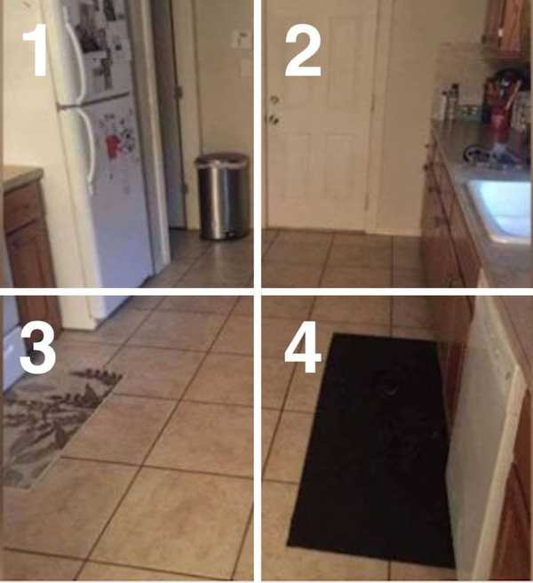 Fotoğrafta köpeği kimse bulamıyor sosyal medyada olay oldu!  - Resim: 4