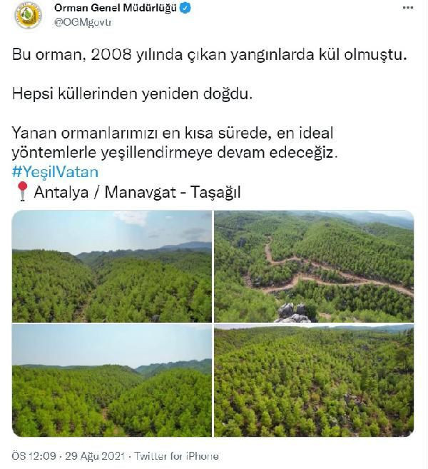5 gün boyunca sürmüştü! Manavgat'ta 13 yıl önce yanan orman yeşillendi - Resim: 3