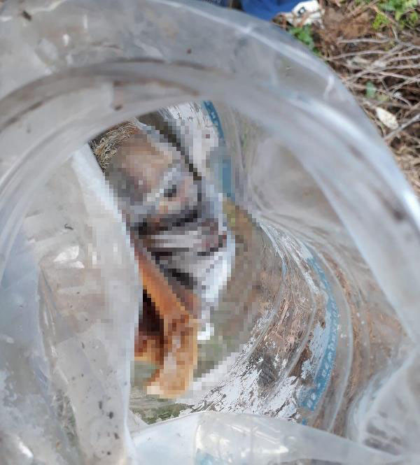  Denizli’de kan donduran olay! Boş tarlada bidonun içinde bulundu - Resim: 2