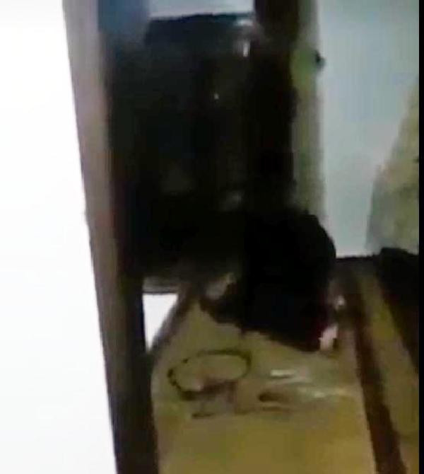 El ve ayaklarını bağladığı oğlunu hortumla dövdü! - Resim: 4