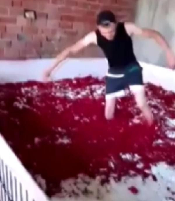 Çıplak ayakla salça havuzuna girmişti! Balıkesir'deki işletmenin faaliyeti durduruldu - Resim: 1