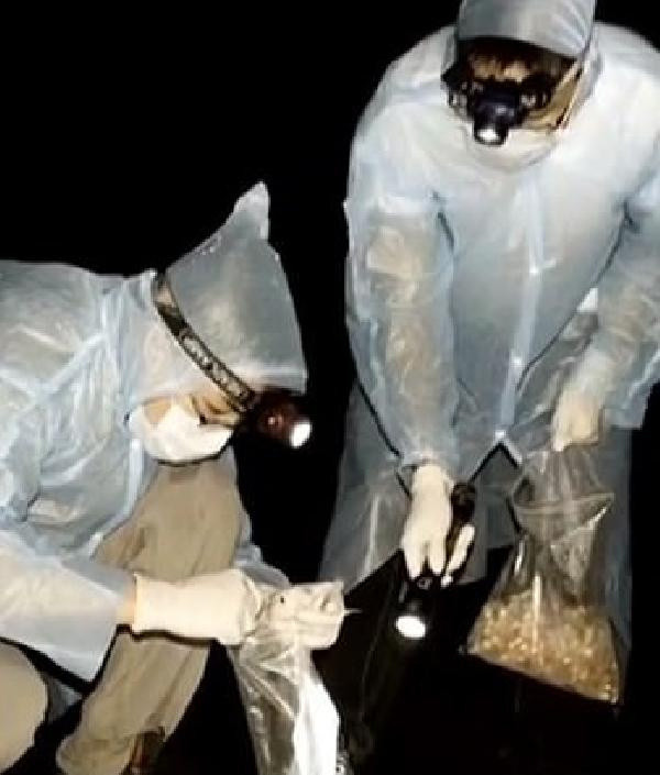 Vuhan Laboratuvarı’nda bilim insanlarından yarasa itirafı - Resim: 0