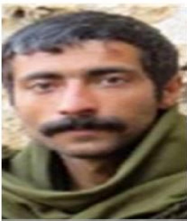 İçişleri Bakanlığı duyurdu! Gri kategoride aranan teröristin üstüne çizik atıldı - Resim: 0