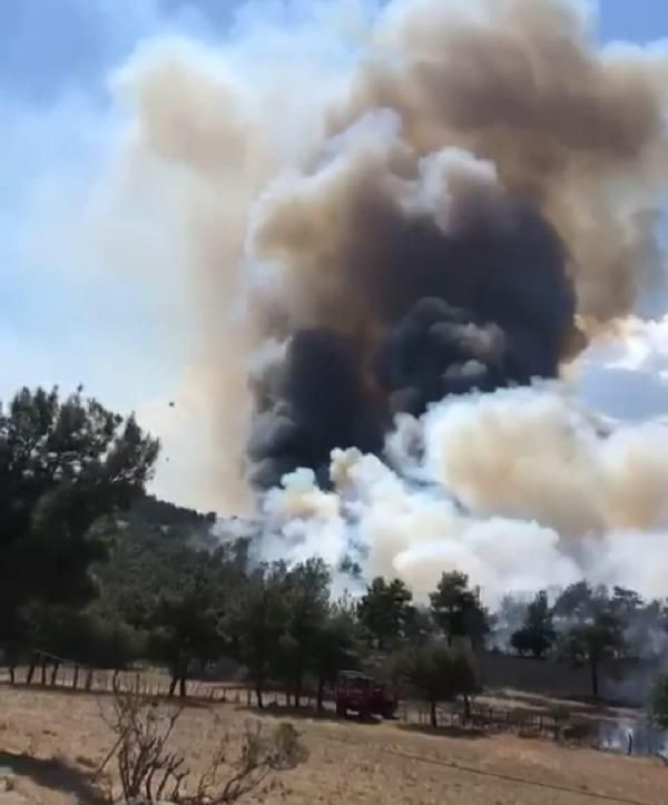 Çanakkale'de orman yangını! İnşaattan kıvılcım sıçradı - Resim: 1