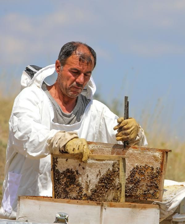 Lavanta balına talep yağıyor! Bu yıl zamlandı kilosu 300 TL - Resim: 1