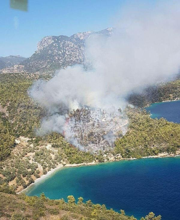 Muğla'da ormanlık alan yanıyor dehşet görüntülere bakın - Resim: 2
