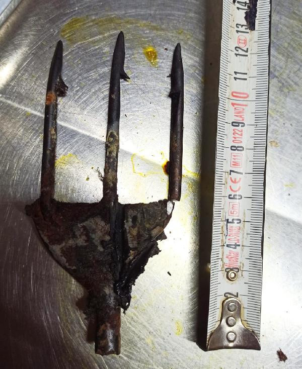 Antalya'da bunu yapan insan olamaz! Dehşete düşüren görüntü - Resim: 1