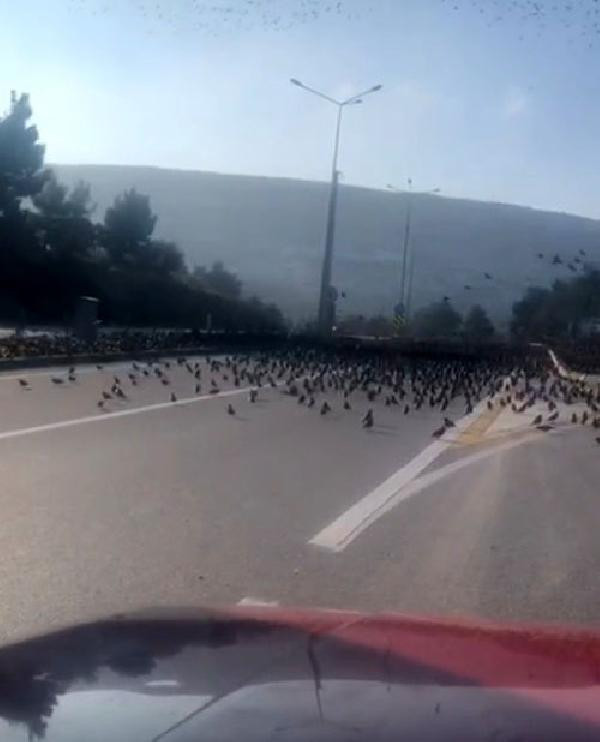 Şaşkına çeviren manzara: Gökyüzünde dans! - Resim: 2