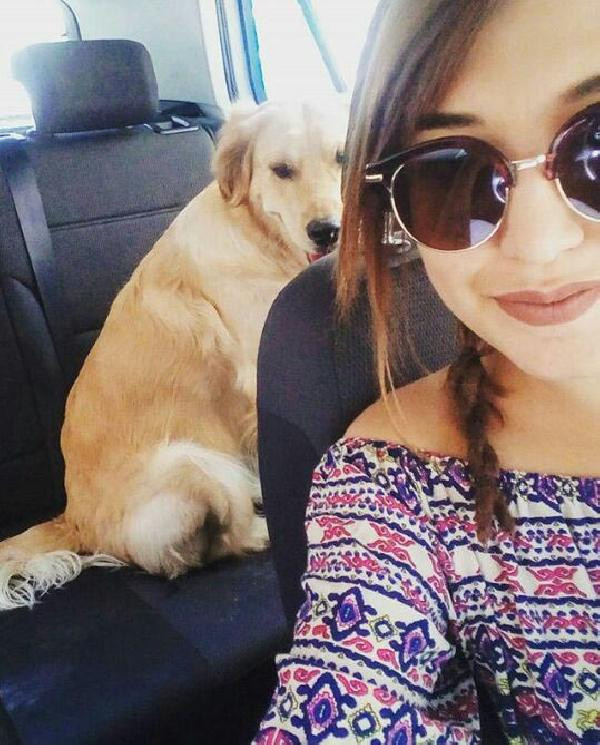 Ayrılan sevgililer köpek için mahkemelik oldu - Resim: 4