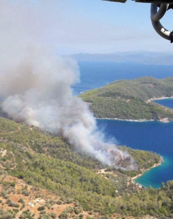 Muğla'da ormanlık alan yanıyor dehşet görüntülere bakın - Resim: 3
